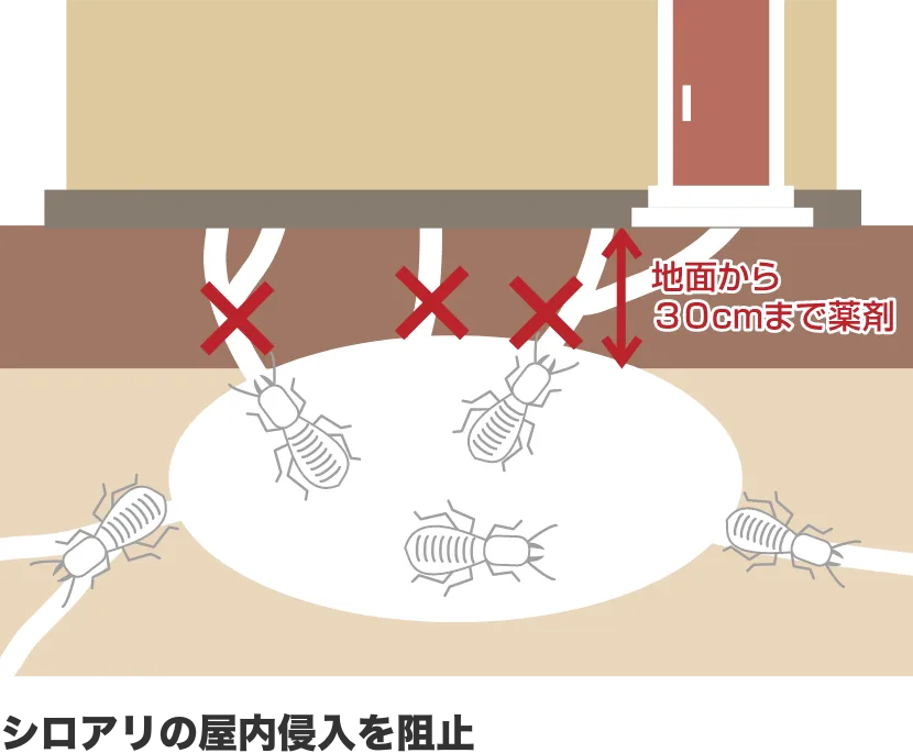 シロアリの屋内侵入を阻止