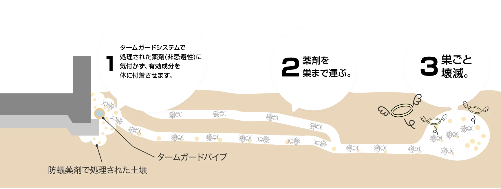 1.エサ場を見つけたと認識し、仲間を呼び集める。2.薬剤を巣まで運ぶ。3.巣ごと壊滅